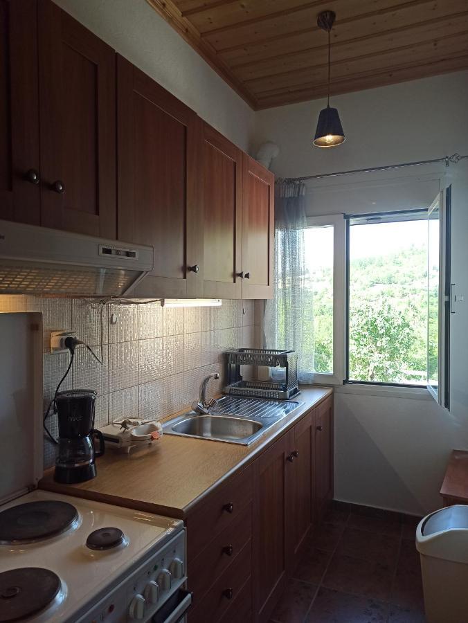 Elli΄S House Συγχρονο Σπιτι Στα Πραμαντα Villa Pramanta Luaran gambar