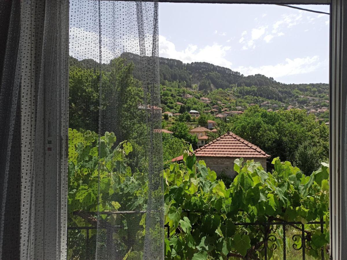Elli΄S House Συγχρονο Σπιτι Στα Πραμαντα Villa Pramanta Luaran gambar
